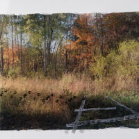 Tracks and Traces (deer, coyote) acrylic photo transfer, Plexiglas, 14 x 18.5 in.