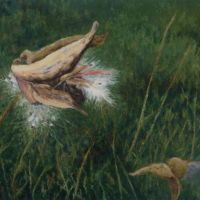 Milkweed Burst oil on canvas, 30 x 40 in. Sold