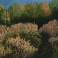 Dark Path oil on canvas, 30 x 40 in., Sold