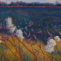 Field of Shadow oil paint on canvas, 36 x 48 in.