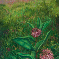 Milkweed oil paint on canvas, 36x24 in.