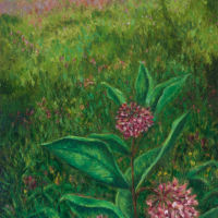 Milkweed oil paint on canvas, 36x24 in.