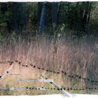 Tracks and Traces (porcupine, racoon, red fox) acrylic photo transfer, Plexiglas, 14 x 18.5 in.