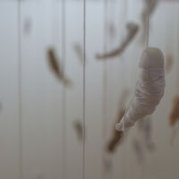 Lost Potential 4, detail installation Ottawa School of Art Gallery, Shenkman Arts Centre