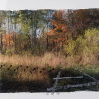 Tracks and Traces (deer, coyote) acrylic photo transfer, Plexiglas, 14 x 18.5 in.