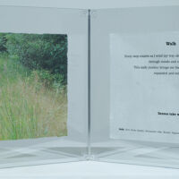 Observances, Following the Path, Walk acrylic photo transfer, 12 x 30 in.