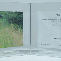 Observances, Following the Path, Walk acrylic photo transfer, 12 x 30 in.