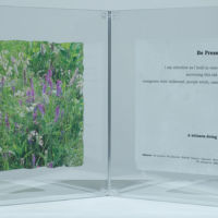 Observances, Following the Path, Be Present acrylic photo transfer, 12 x 30 in.