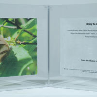 Observances, Following the Path, Bring to Life acrylic photo transfer, 12 x 30 in.