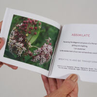 Observances, Following the Path Artist Book printed, mixed media, 4.25 x 5.25 in.