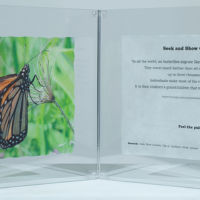 Observances, Following the Path, Seek and Show acrylic photo transfer, 12 x 30 in.