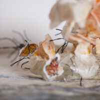 "Someone left the cake out in the rain", detail "Someone left the cake out in the rain", detail