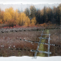 Tracks and Traces (red fox, skunk) acrylic photo transfer, Plexiglas, 14 x 18.5 in.