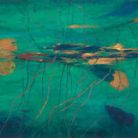 In the Shallows oil paint on canvas, 24 x 36 in.