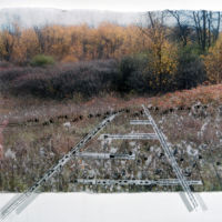 Tracks and Traces (porcupine, cottontail, deer) acrylic photo transfer, Plexiglas, 14 x 18.5 in.